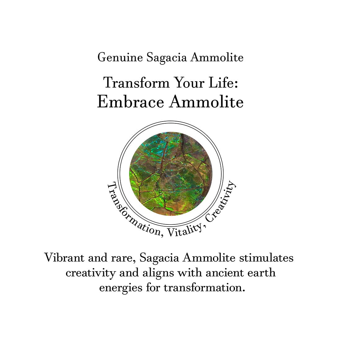 Ammolite Earring-(AML-E-10)
